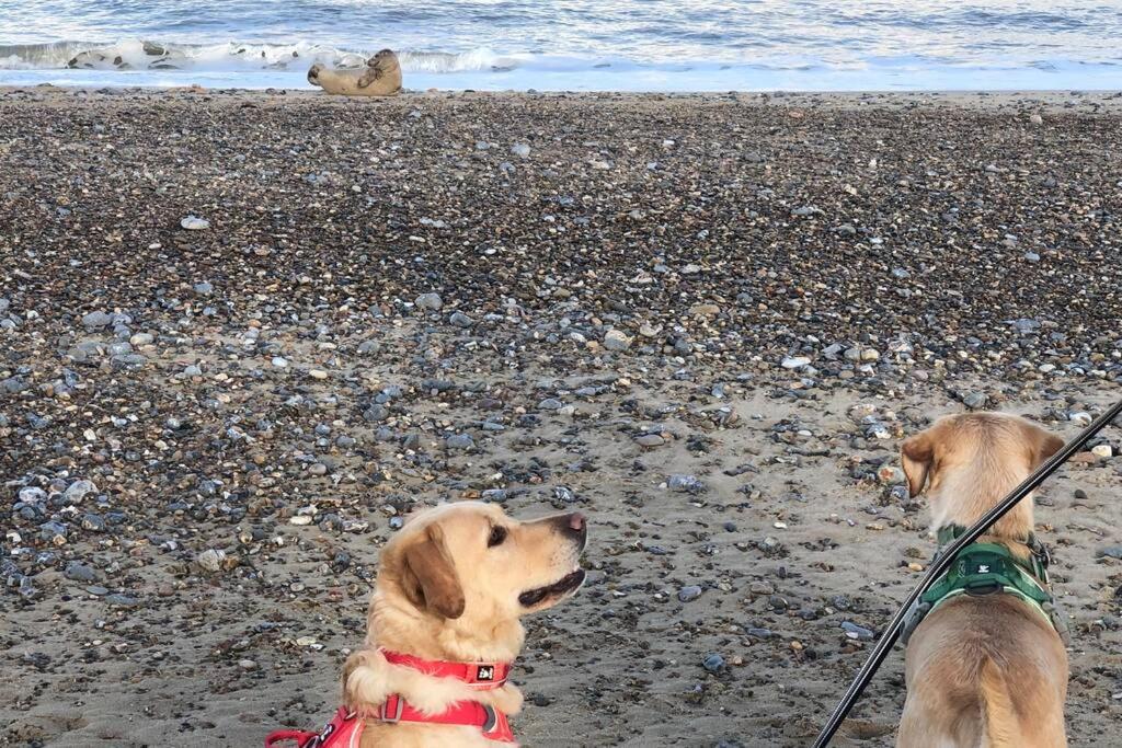 Dog Friendly Cottage 2 Mins To Beach With Hot Tub And Zappi Ev Lessingham المظهر الخارجي الصورة